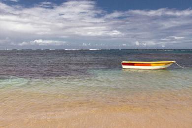 Sandee - Playa Las Ballenas