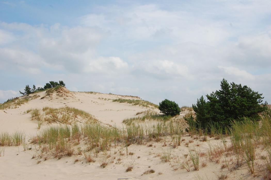Sandee Slowinski National Park