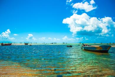 Sandee Pontal Do Peba Beach