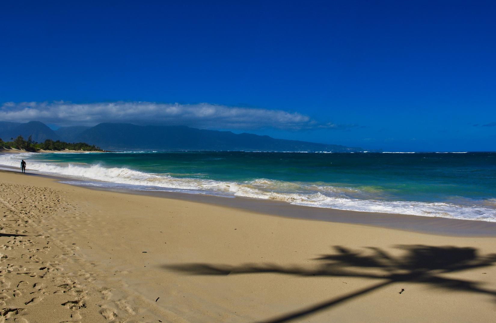 Sandee - Baldwin Beach Park