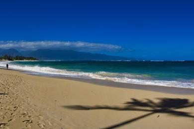 Sandee - Baldwin Beach Park