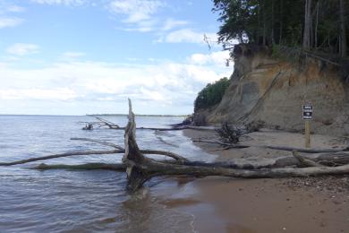 Sandee Calvert Cliffs State Park