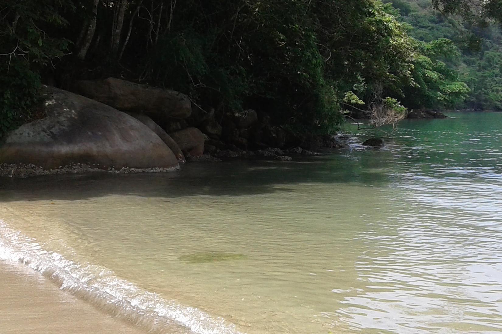 Sandee - Taritubinha Beach