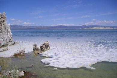 Sandee Mono Lake Navy Beach Photo