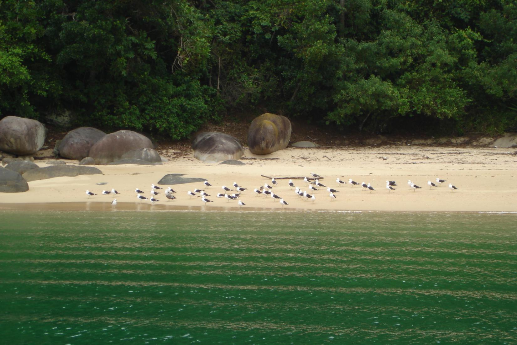 Sao Goncalo Photo - Sandee