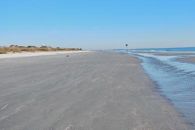 Sandee Sharktooth Beach