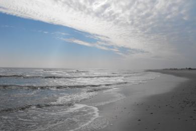 Sandee Assateague Beach