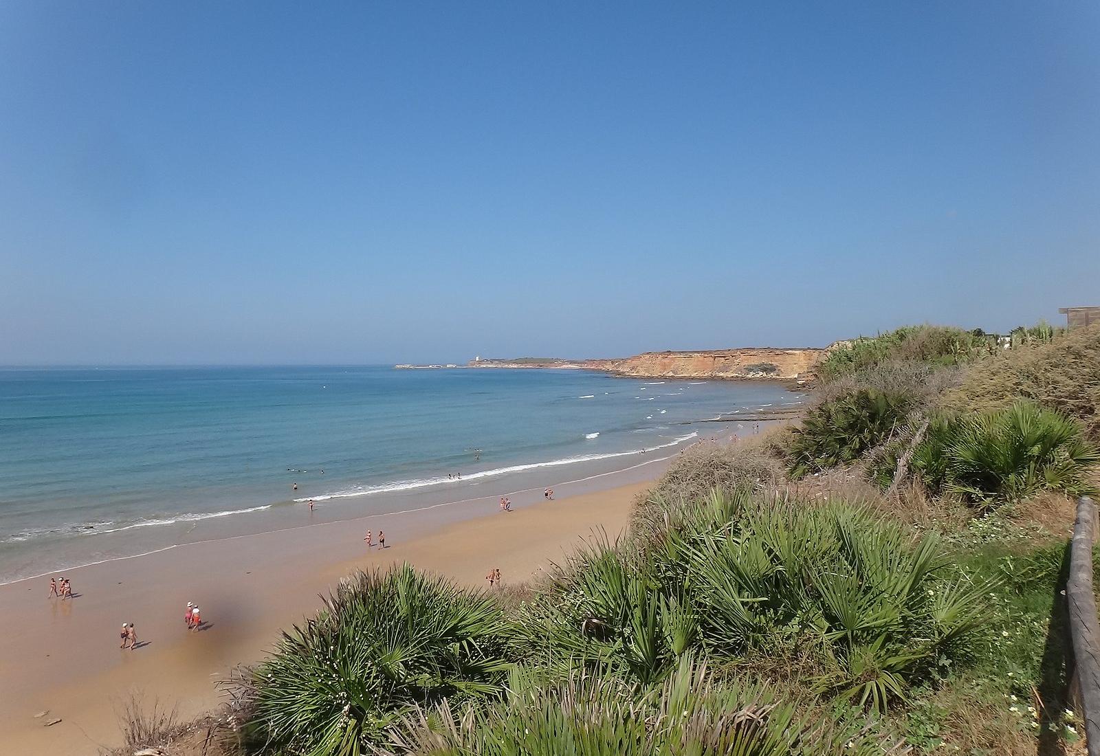 Sandee - Playa Fuente Del Gallo Conil