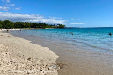 Sandee - Mauna Lani Beach Club