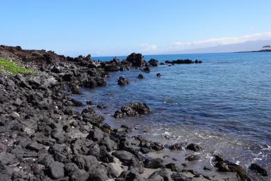 Sandee - 49 Black Sand Beach