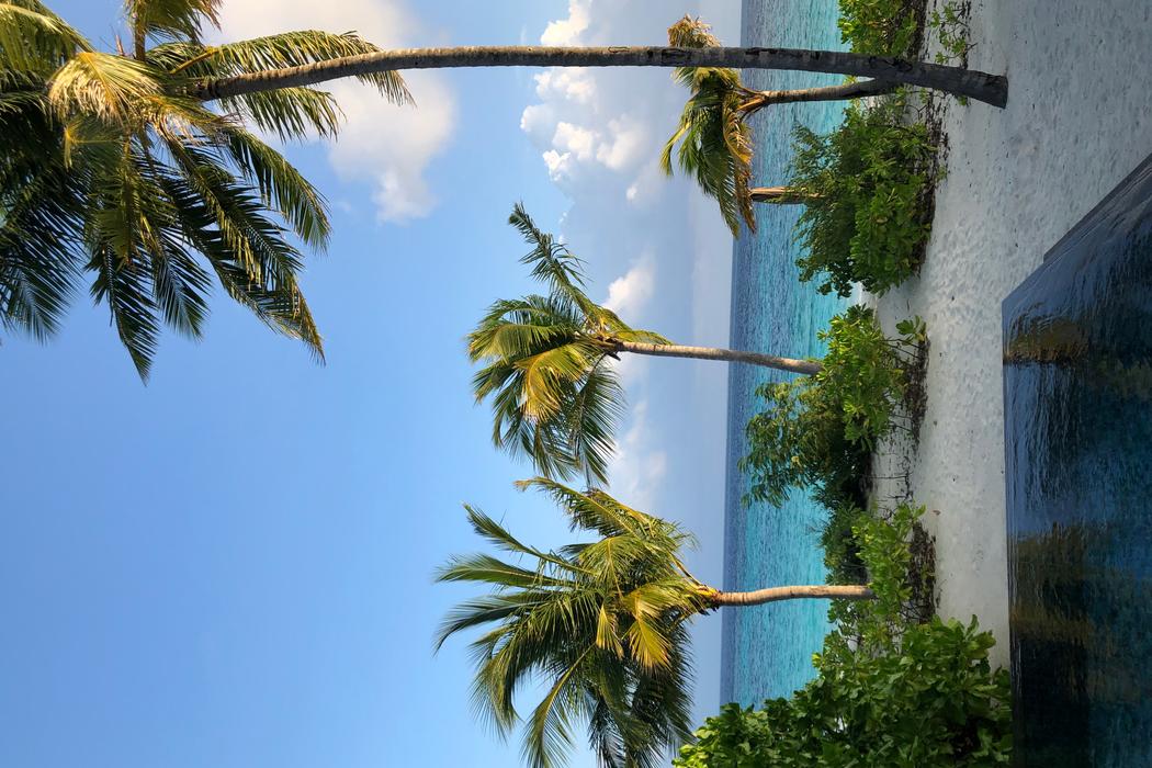 Sandee The St. Regis Maldives Vommuli Resort