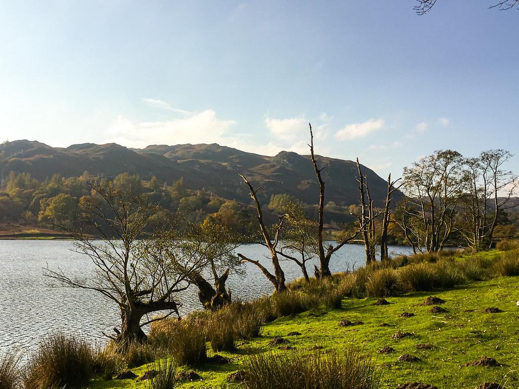 Sandee - Bassenthwaite Lake National Nature Reserve