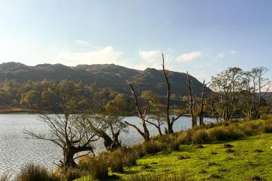 Sandee - Bassenthwaite Lake National Nature Reserve