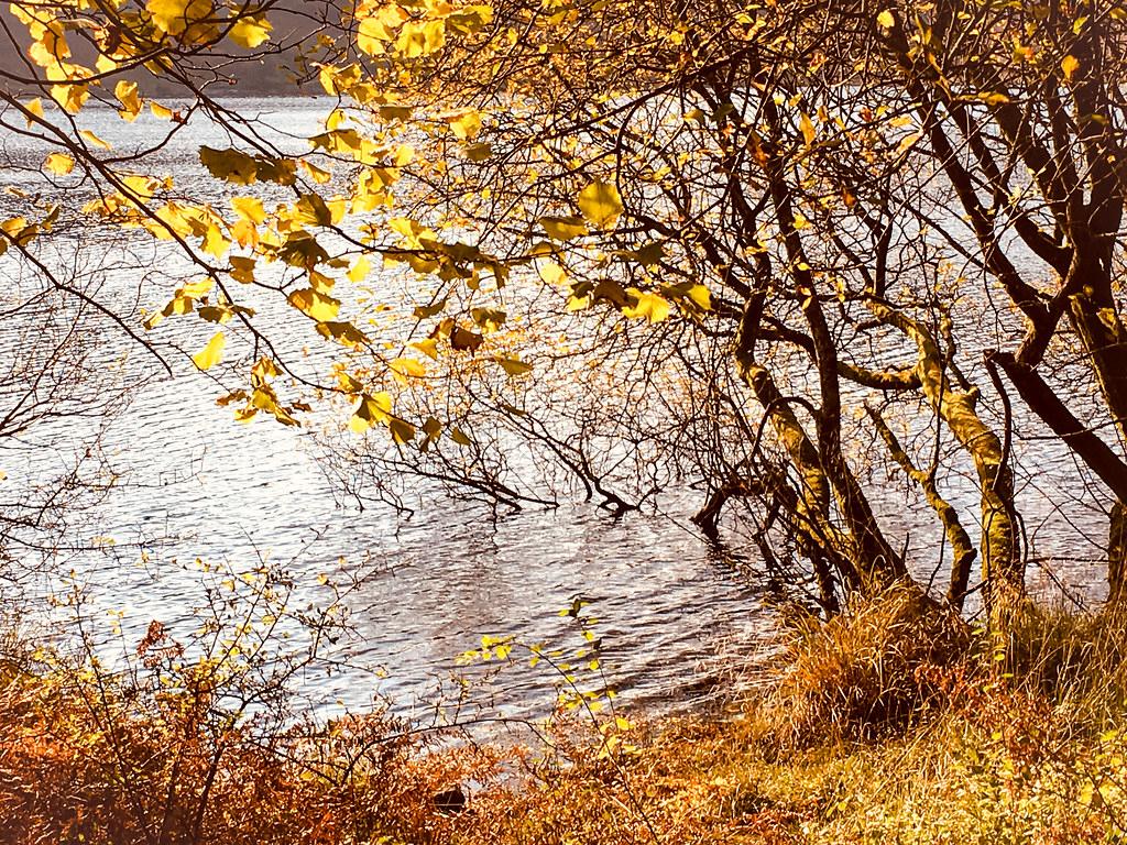 Sandee - Bassenthwaite Lake National Nature Reserve