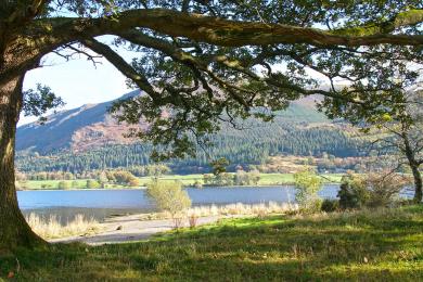 Sandee - Bassenthwaite Lake National Nature Reserve