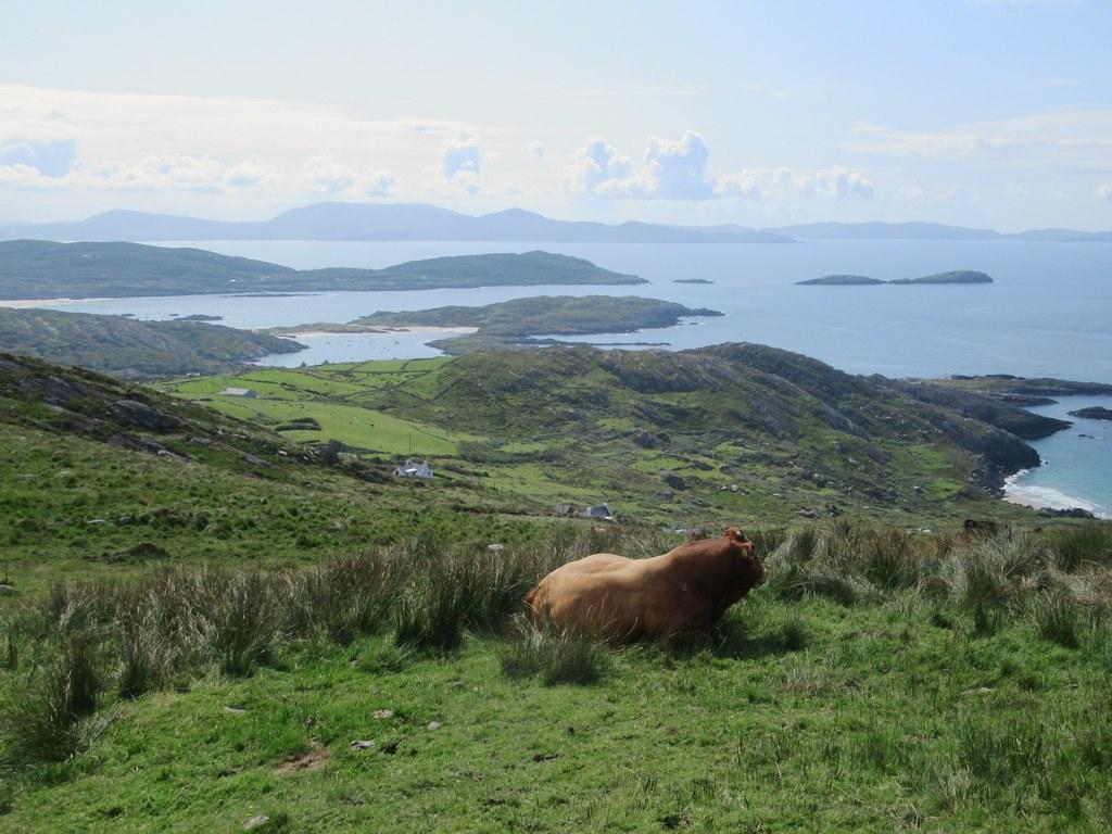 Sandee - Iveragh Peninsula