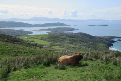 Sandee Iveragh Peninsula Photo