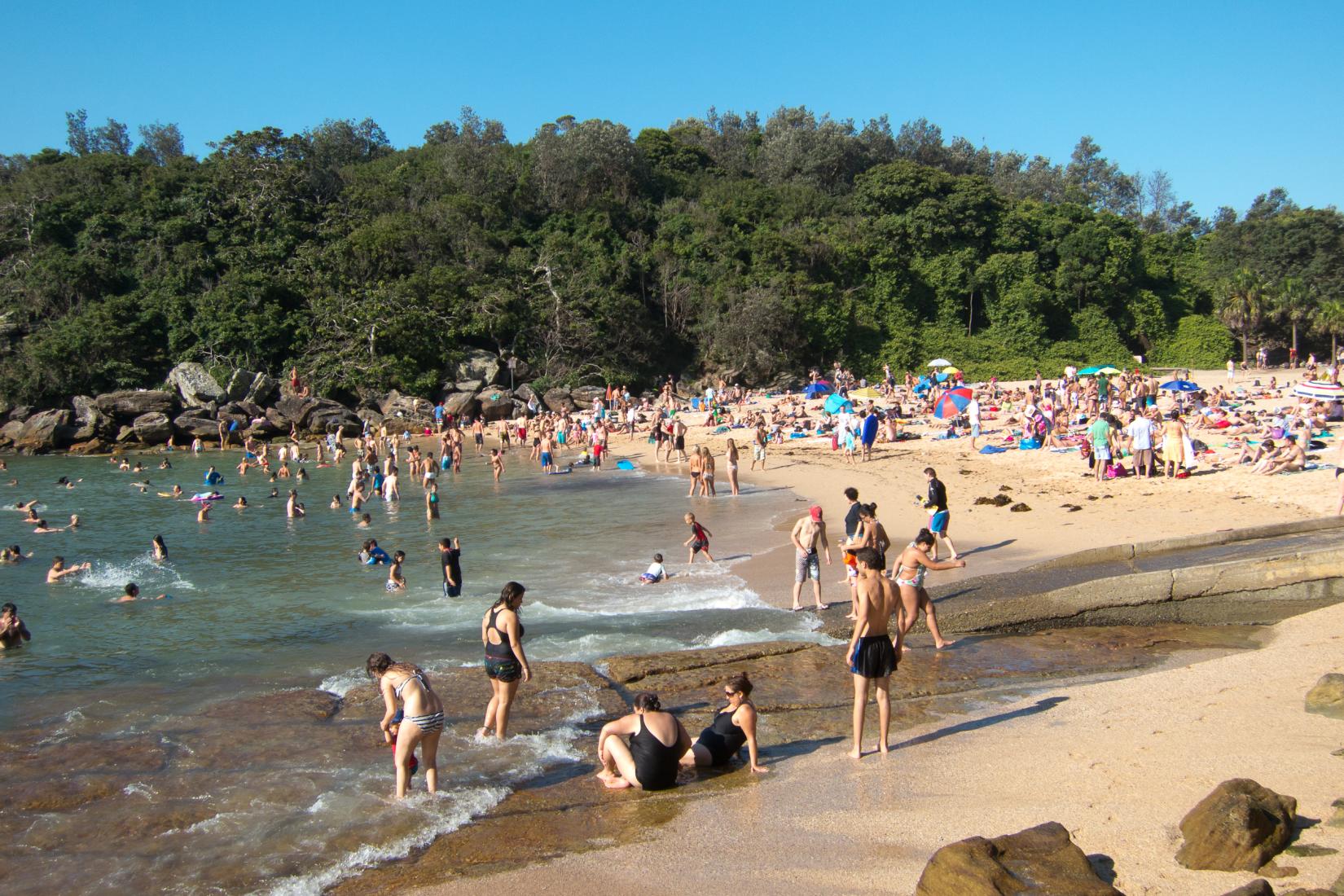 Sandee - Shelly Beach