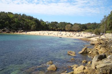 Sandee Shelly Beach Photo