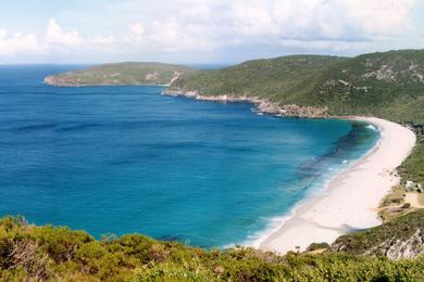 Sandee - Shelly Beach