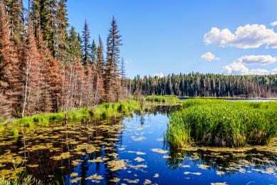 Sandee Prince Albert National Park Photo