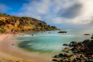 Sandee - Shelly Beach