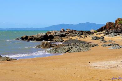 Sandee - Shelly Beach