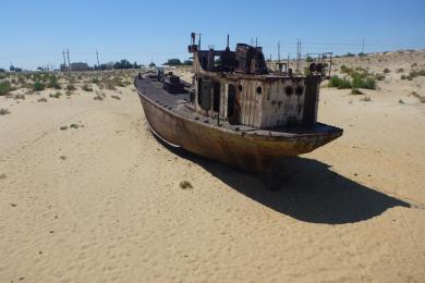 Sandee Aral Sea Beach Photo