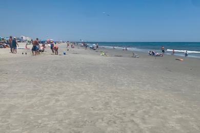 Sandee Ludlam Beach