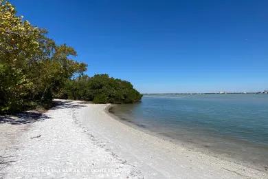 Sandee Quick Point Nature Preserve Photo