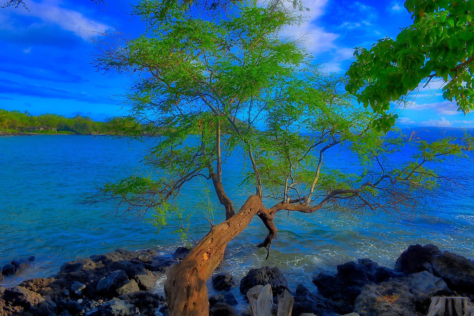 Sandee - Makena Landing Park