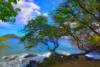 Sandee - Makena Landing Park