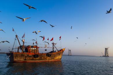 Sandee Dwarka Beach 