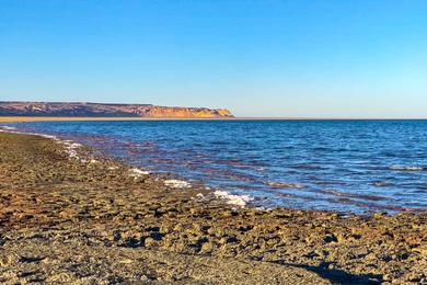 Sandee - Aral Sea Beach