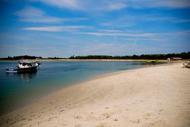 Sandee Ferry Beach Photo