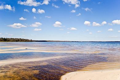 Sandee Lake Louisa State Park Beach Photo