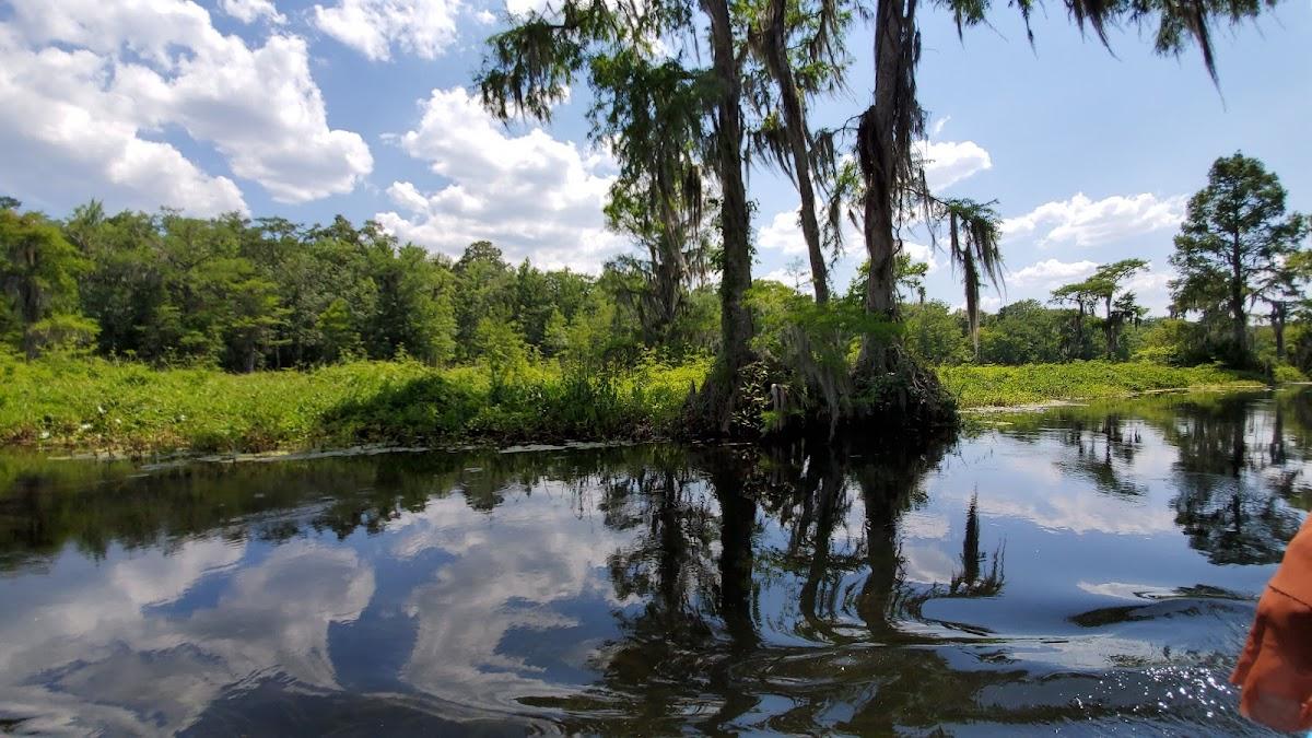 Sandee - Wakulla Springs State Park