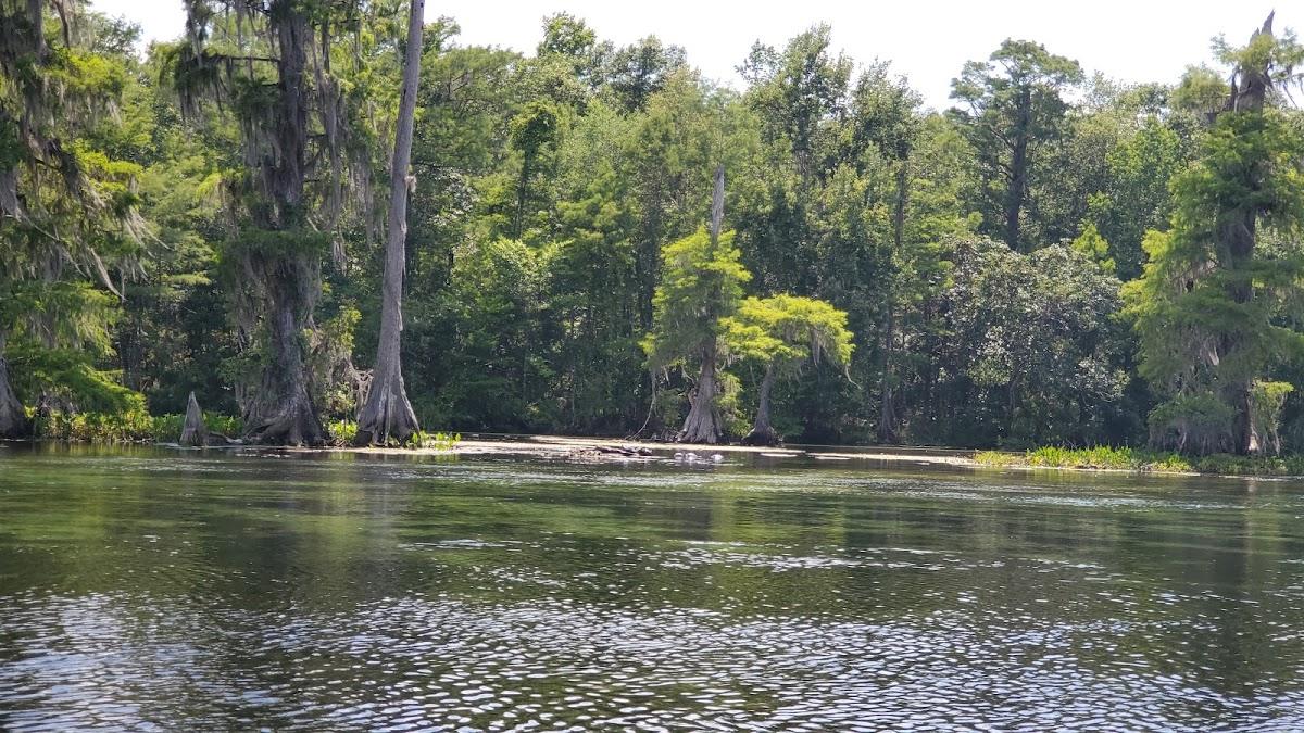 Sandee - Wakulla Springs State Park