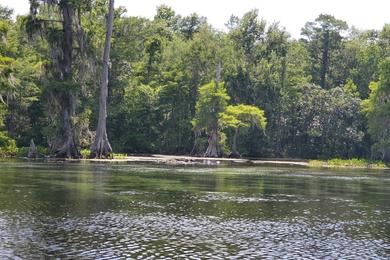 Sandee - Wakulla Springs State Park