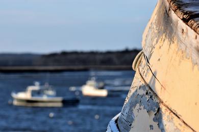 Sandee - Ferry Beach