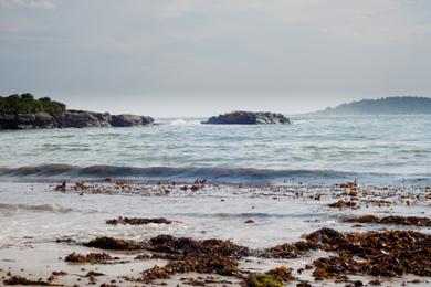 Sandee - Kettle Cove Beach