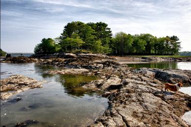 Sandee Winslow Park