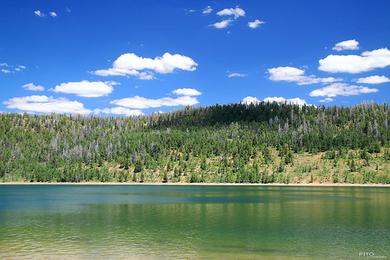 Sandee - Navajo Lake State Park