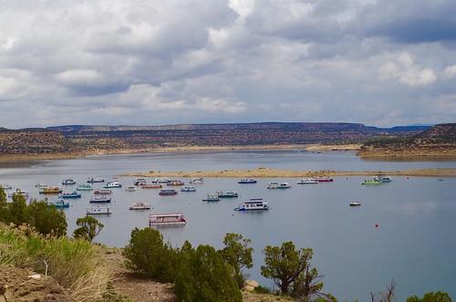 Sandee - Navajo Lake State Park