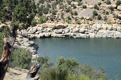 Sandee Navajo Lake State Park Photo