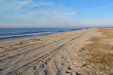 Sandee Rutherford Beach Photo