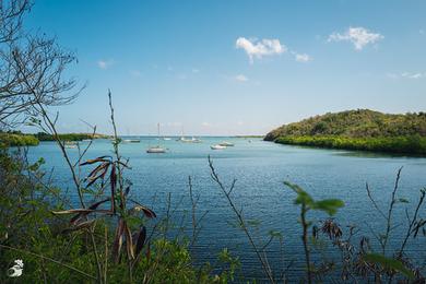 Sandee Columbus Landing Photo