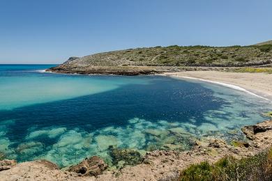 Sandee Turquoise Beach