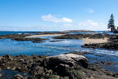 Sandee - Reid State Park Beach