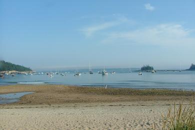 Sandee Seal Harbor Beach Photo